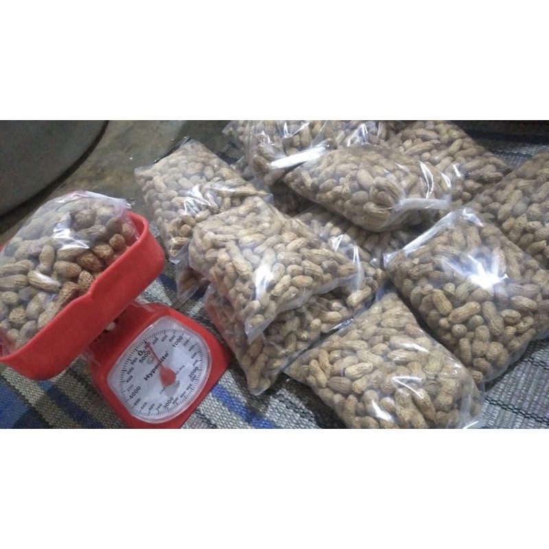 

kacang goreng paair