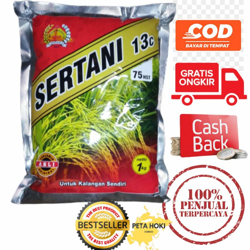 Benih Padi Sertani 13 C cepat panen genjah bibit padi sertai bulir lebih banyak panjang batang kokoh