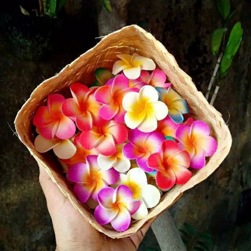 AKSESORIS JEPIT BUNGA BALI  MINIML2 PC