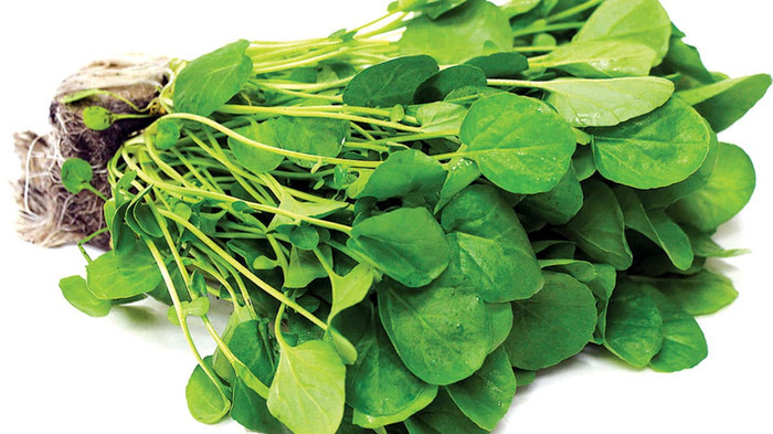 Haira Seed BIbit-Biji Selada Air True Watercress