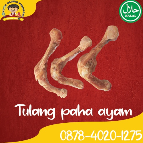 

Tulang paha Ayam Frozen/ Beku