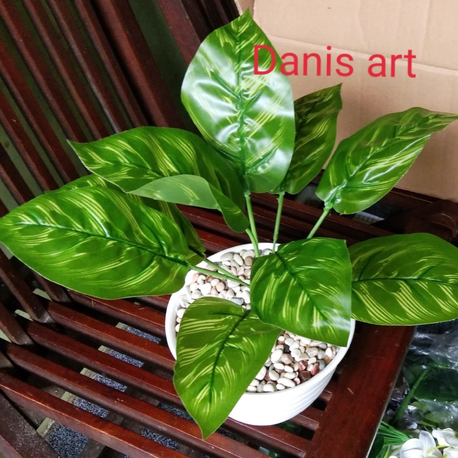 Tanaman plastik/ keladi kuning/ keladi palsu / Tanaman hias / Daun