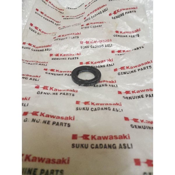 sil kruk as ninja r ninja rr