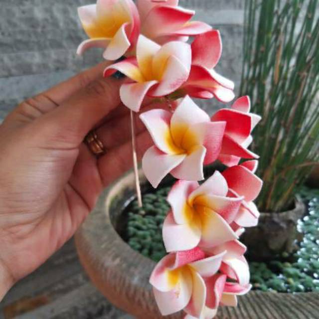 semanggi jepun mekar