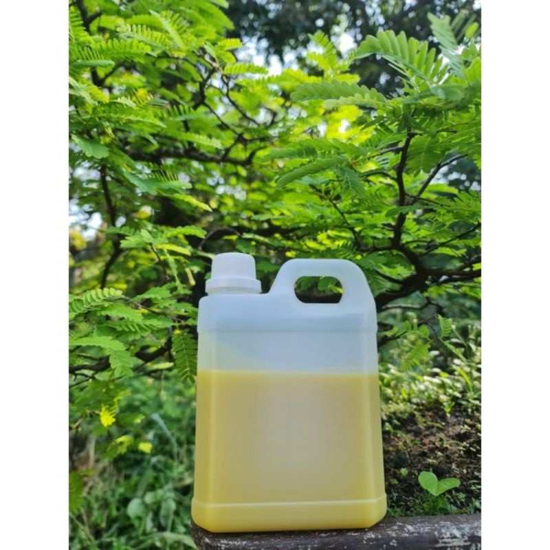 

Kaliandra Kemasan 1kg