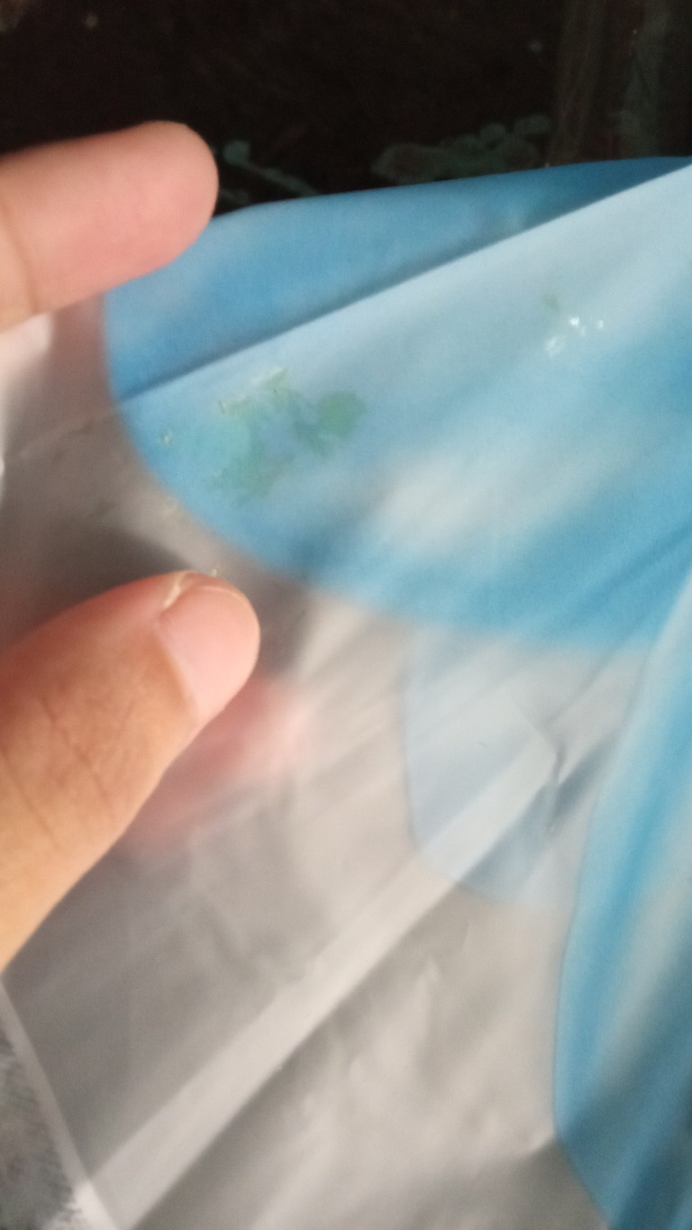 Tabasa Payung Tongkat Sunflower