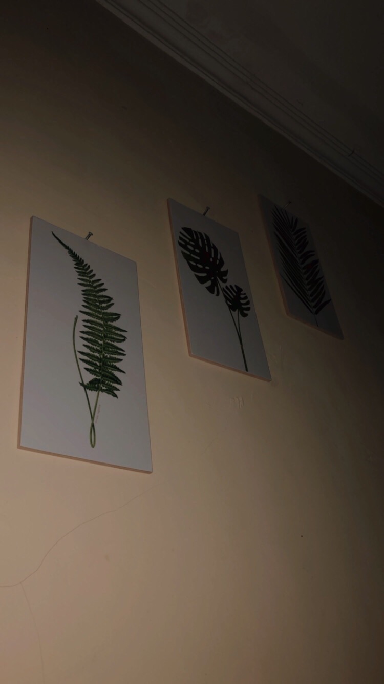 Fasahaya Hiasan Dinding Poster Kayu Leaf Dekorasi Rumah 15x30 Lf 28