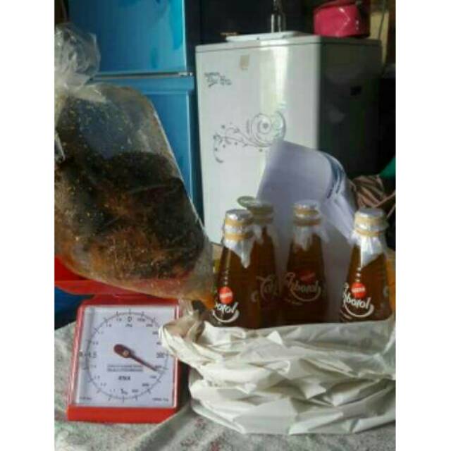 

MADU HUTAN ASLI BENGKULU