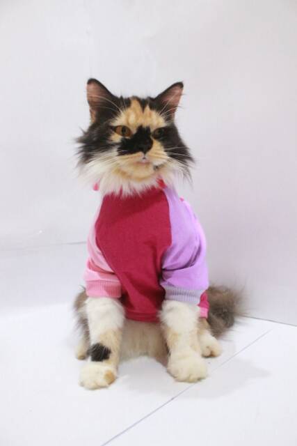 Kaos jumper hoodie joker 2 untuk kucing dan anjing size S-XL / baju kucing terlaris 2019