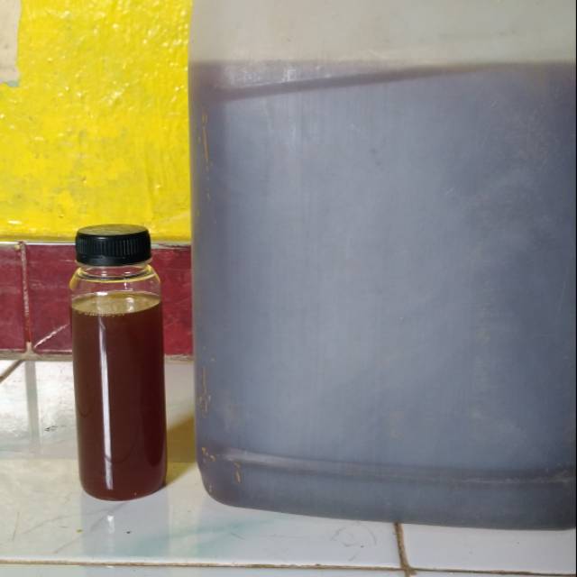 

Madu Trigona