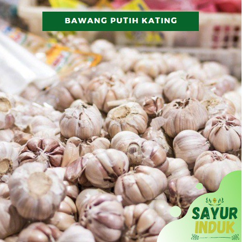 

Sayur Induk - Bawang Putih Kating 250 Gram Fresh Grade A Garlic