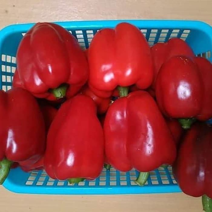 

Paprika Merah 500gr - 1000 gr