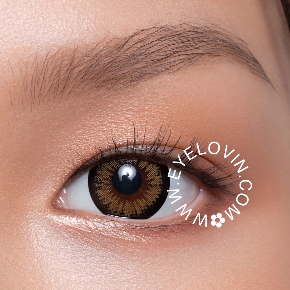 EYELOVIN Softlens Mite Clair - Royal Almond Chocolate