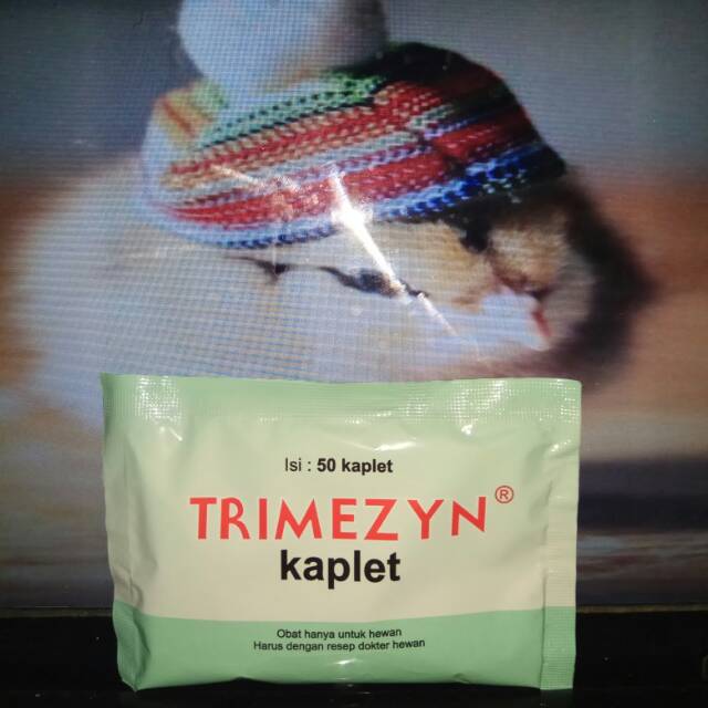 Trimezyn kaplet kapsul obat ayam babi unggas ngorok pilek berak kapur berak hijau snot crd pullorum