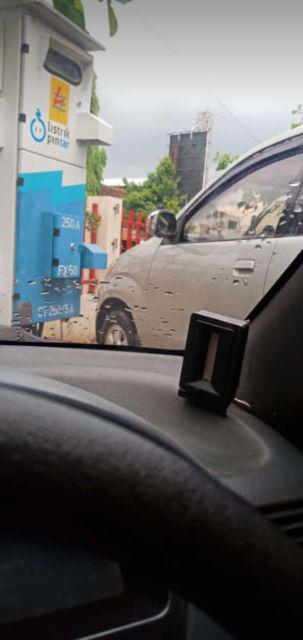 Tanaman Hias Kacapiring