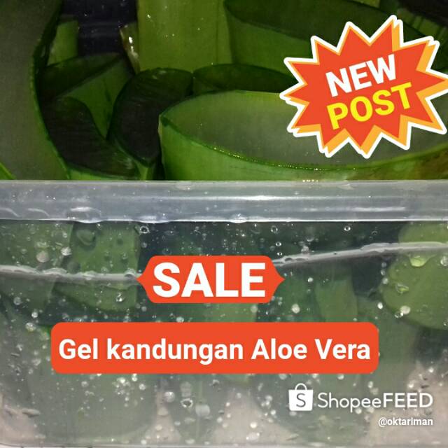 aloe vera gel buat hand sanitizer lebih kental dan bening(OC)