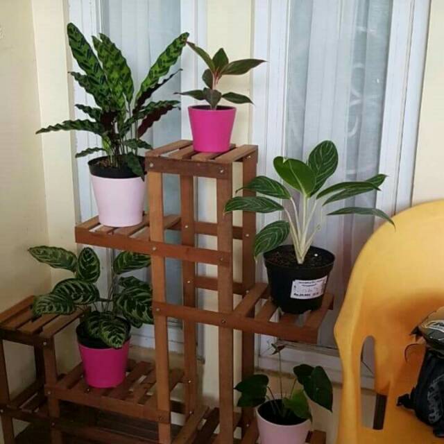 Rak standing pot  bahan kayu  ulin  bagus Shopee Indonesia