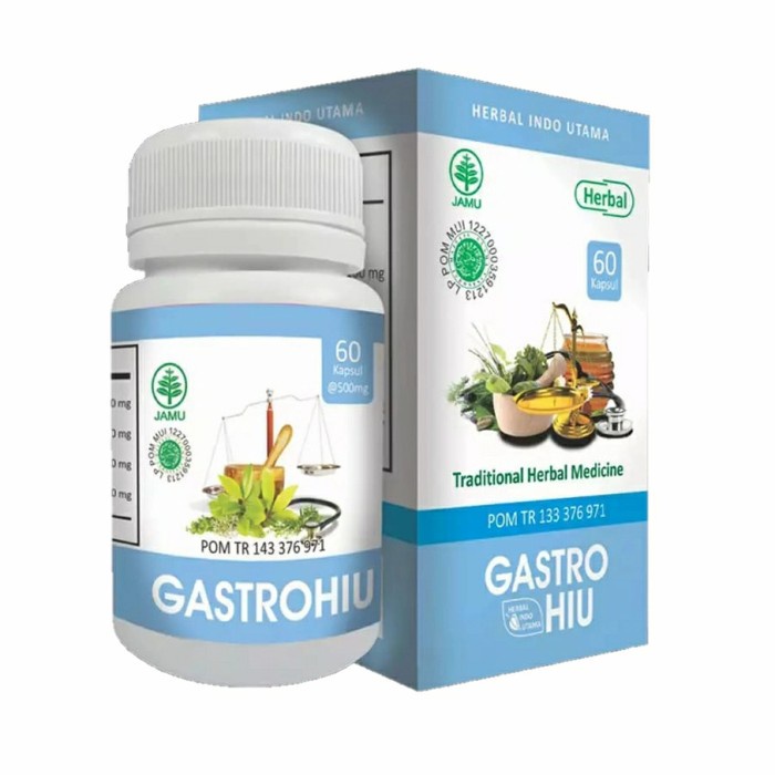 HIU GASTRO / GASTROHIU - Gastritis