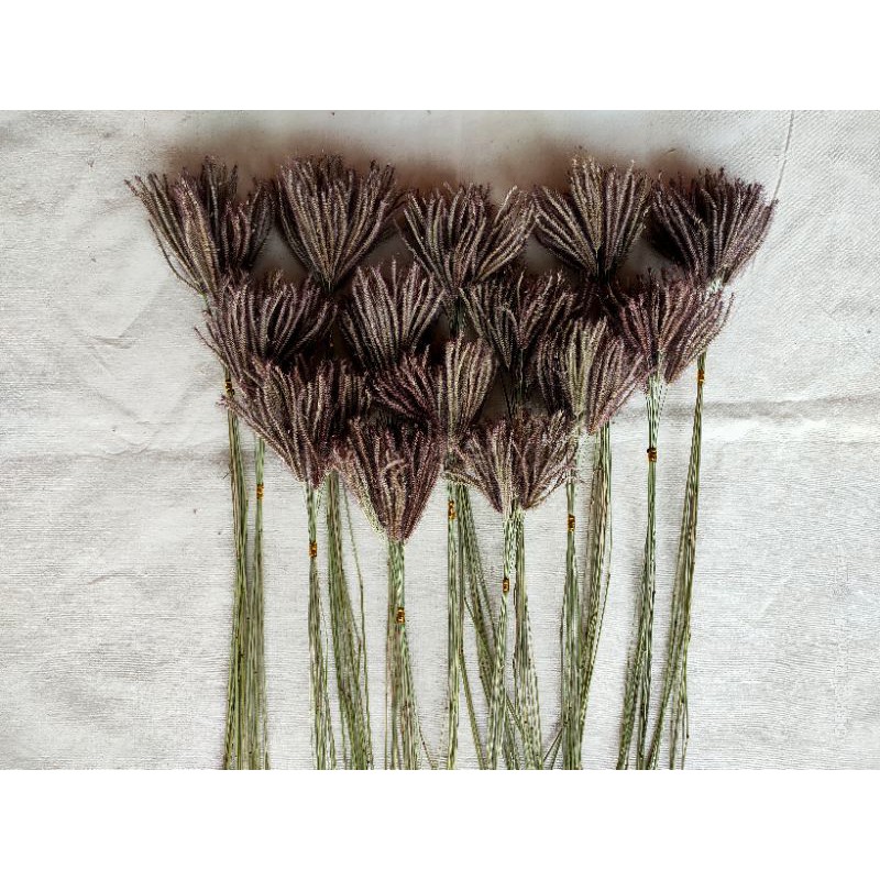 Ilalang Ceker Ayam Dried Buket Bunga Kering Dekorasi Mahar Craft