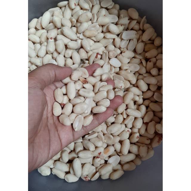 

Kacang kupas/Kacang sambel pecel 500gr
