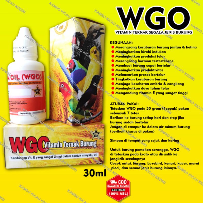 WGO + VITAMIN WGO BREEDING + VIT WGO + VITAMIN WGO +VITAMIN BREEDING + VITAMIN BREDING + VITAMIN TER