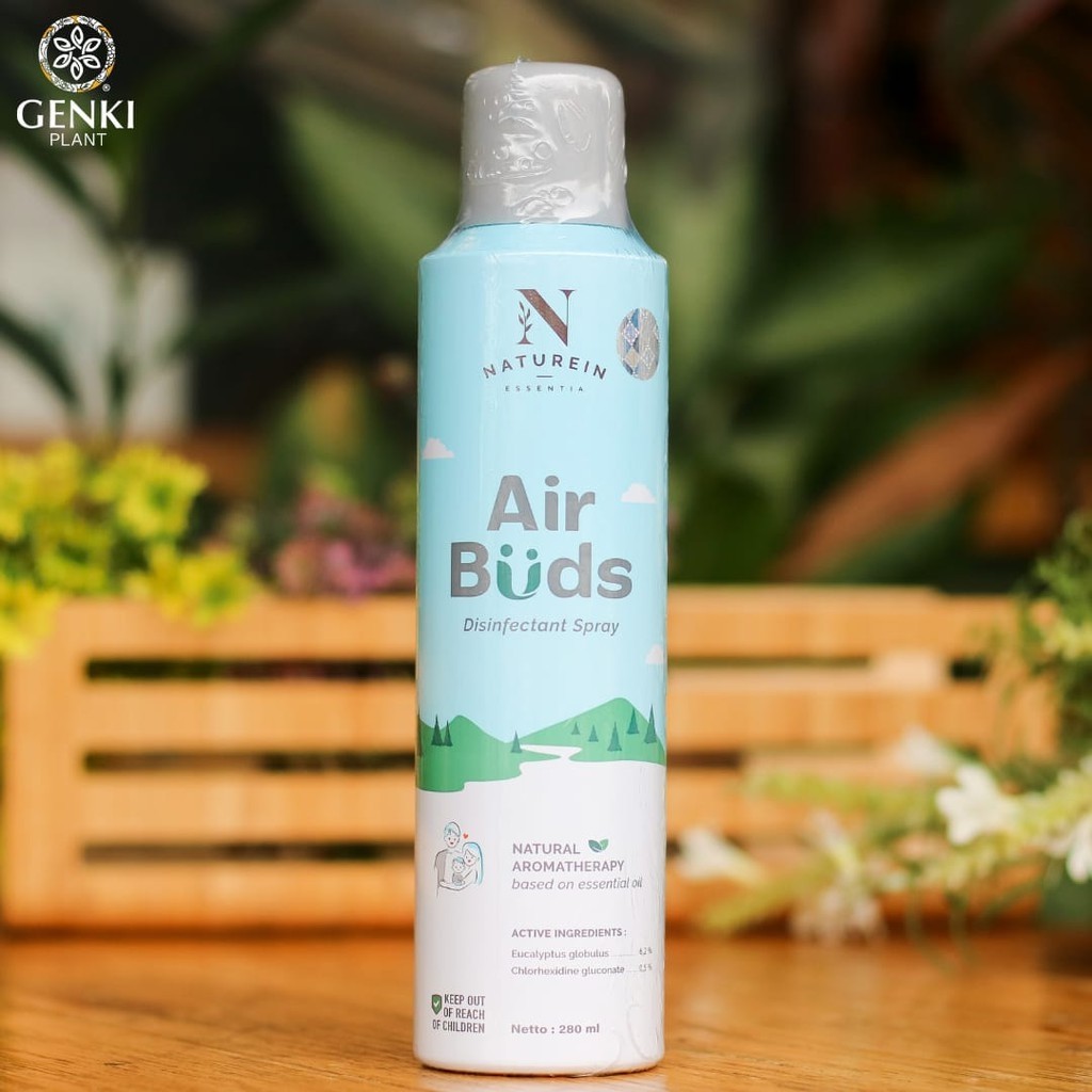 Naturein Air Buds Disinfectant Spray - 280 Ml