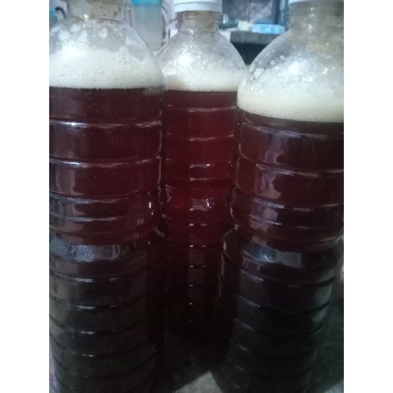 

madu lebah hutan murni
