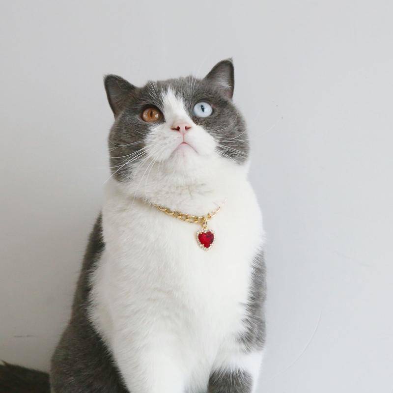 Kalung collar Anjing / Kucing Peliharaan adjustable Bahan metal Hias Berlian Imitasi Untuk Pesta Ulang Tahun