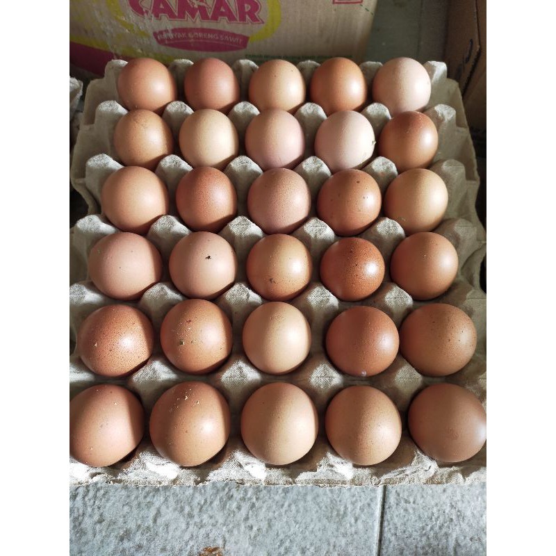 

Telur Ayam