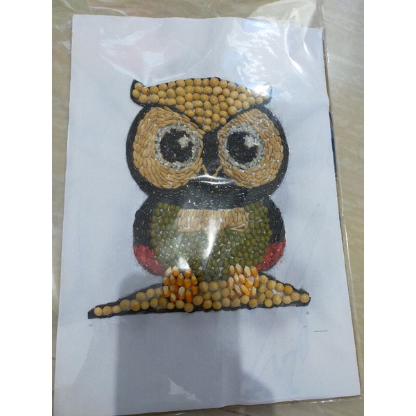 93 Koleksi Gambar Burung Hantu Kolase Gratis