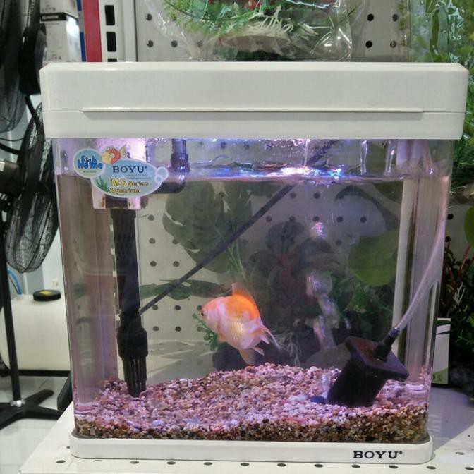 Aquarium Mini / Aquarium Nano Boyu 22Cm Am820842