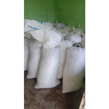 

Rumput laut spinosum Harga grosir, FREE ONGKIR SUMATERA dan BALI