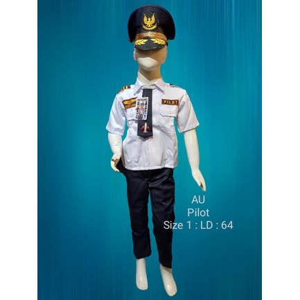 baju profesi anak tk dan sd