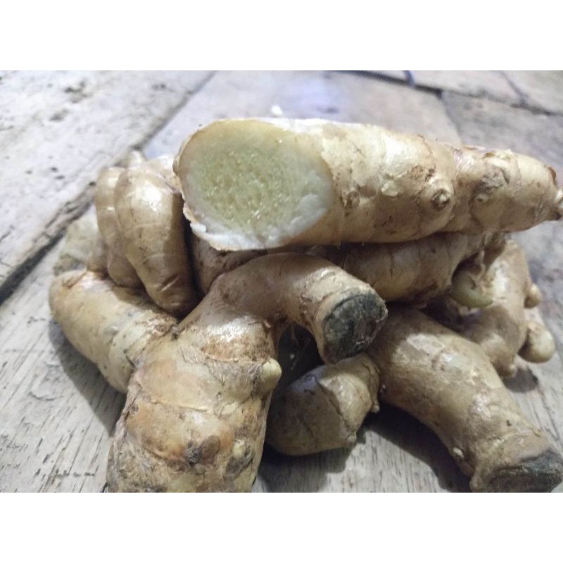 

kunyit putih segar langsung dari kebun