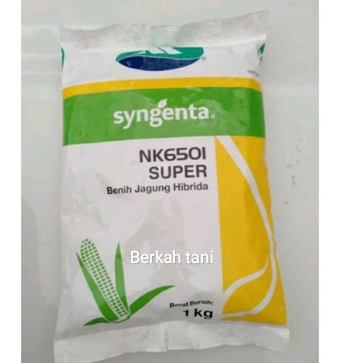 Kejutan Populer Benih Hibrida NK6501 Super / Bibit Nk6501 Super super