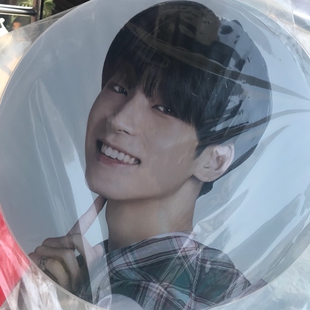 WONWOO IMAGE PICKET