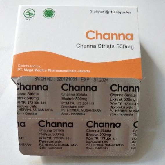 Channa Striata 500mg Ekstrak Ikan Gabus 30 kapsul