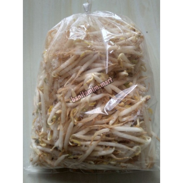 

TAUGE TOGE 250 GR