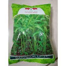 Benih kangkung 1 kg