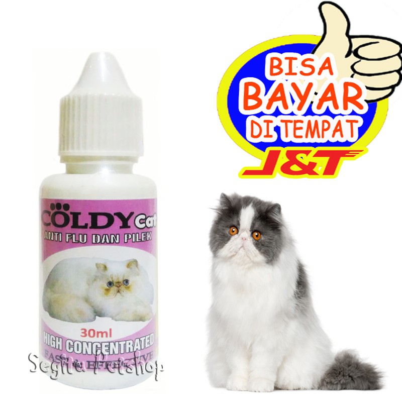 Obat Flu Kucing Pilek Bersin Bersin Coldy Indonesia