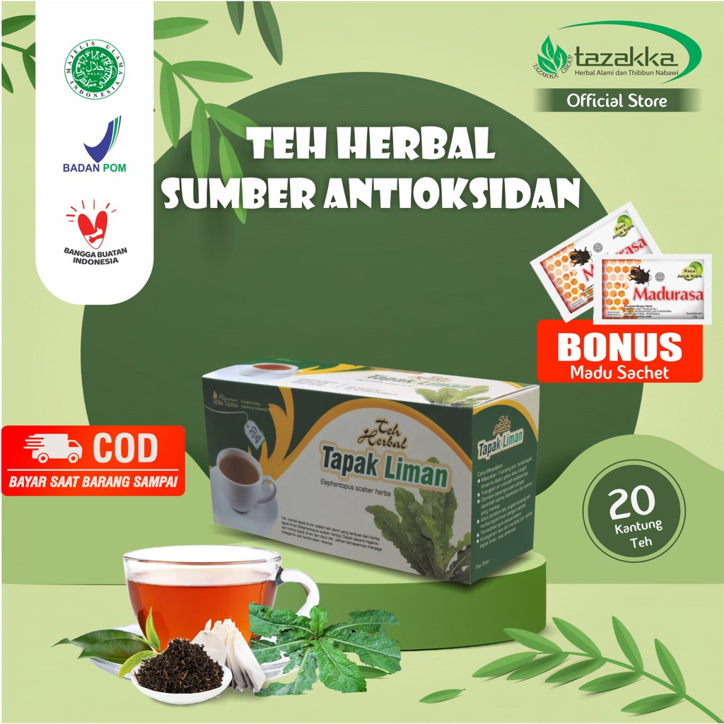 

Teh Antioksidan Daun Tapak liman Antiradang Tazakka Original Halal BPOM Isi 20 Kantung Celup Tea Bag Obat Liver Anti Kanker Minuman Kesehatan Herbal Anti Jamur Vitamin Daya Tahan Tubuh Dewasa