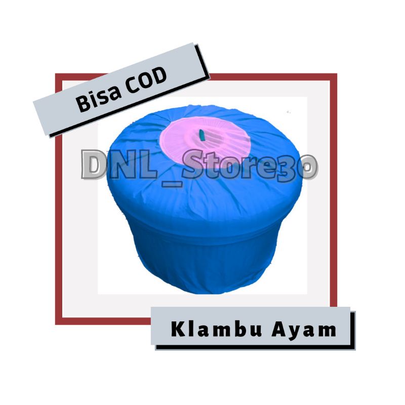 krodong ayam Bangkok premium/ Klambu ayam