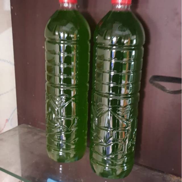 Chlorella Vulgaris 250 ml