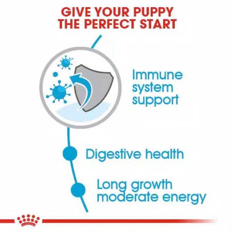 Royal Canin Maxi Puppy 15kg Makanan Anjing Maxi Berat 26-44kg Dog Food Anakan Puppies sd 1 Tahun