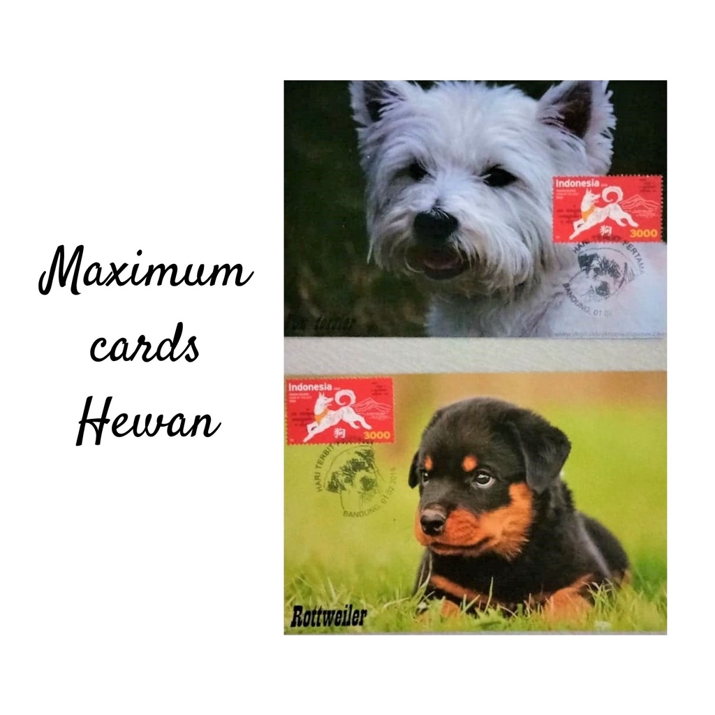 

MC- Maximum Cards Hewan Kartu pos kartu pos / Animal Maximum Postcards