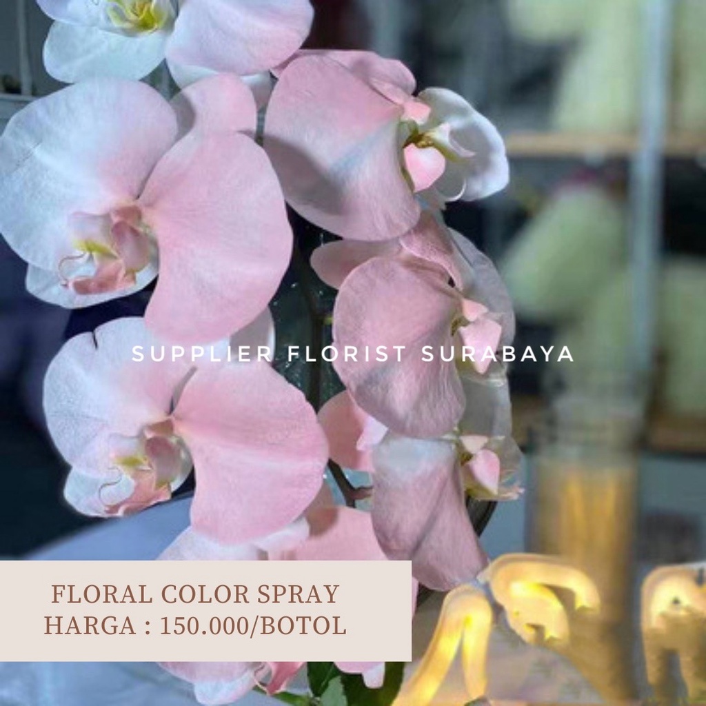 FLORAL COLOR SPRAY CEPAT KERING PENGUBAH WARNA BUNGA ASLI SEMPROTAN BUNGA CAT BUNGA PILOX PYLOX UNTUK BUNGA ASLI PEWARNA CAT BUNGA ASLI DESIGN MASTER