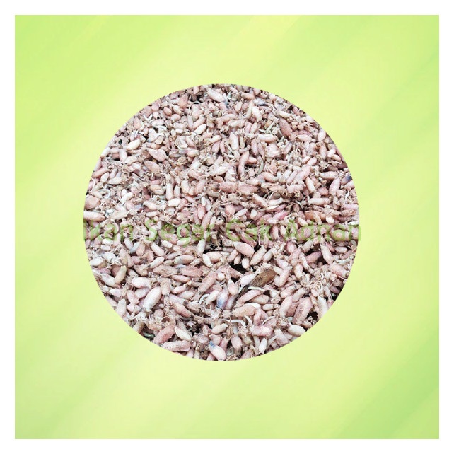 

Cumi Asin Baby 250gr