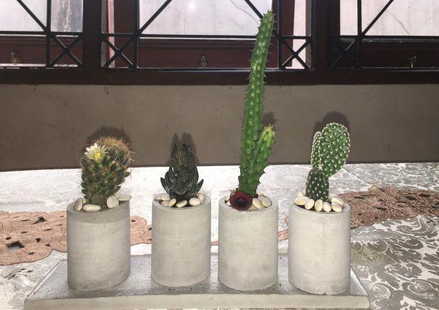 Kaktus Pot Sukulen /1 Set (4 Pot Silinder + 1 Tray) Material Semen Fine Grade