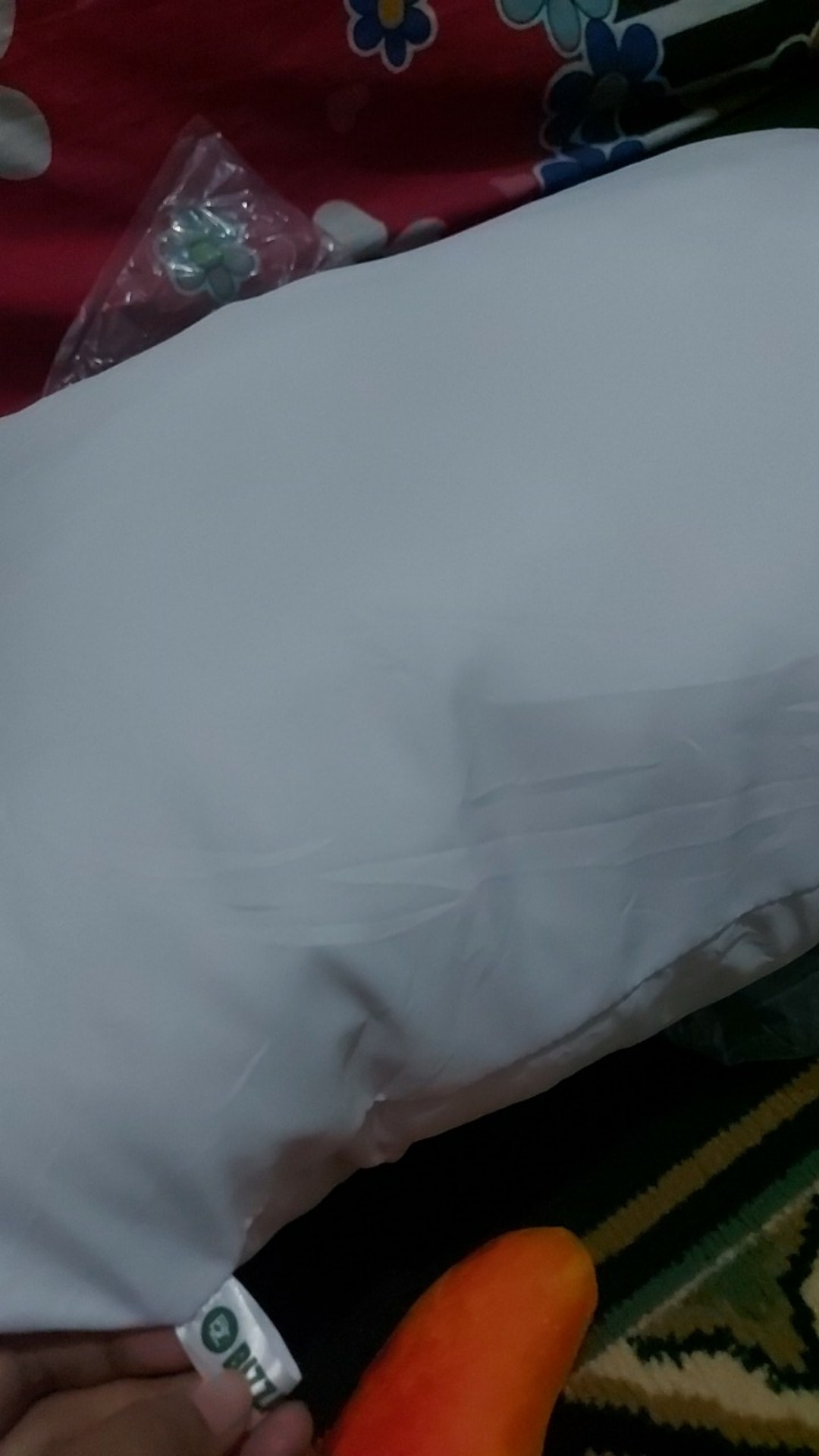 Bantal Tidur Bizzarpillow