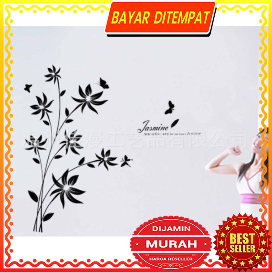 Dinding Stiker Transparan / Wall Sticker / (50x70cm) C01 TKM